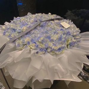 国产调教在线观看
