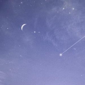 国产调教在线观看
