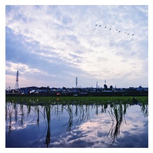 国产调教在线观看
